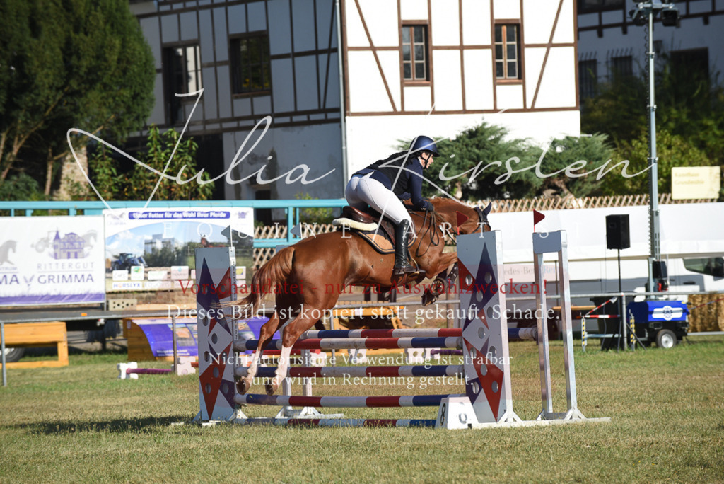 DSC_5163 | Pferde- und Turnierfotografie in Westsachsen. Pferdeportraits, Auftragszeichnungen und intuitive Kunst.
