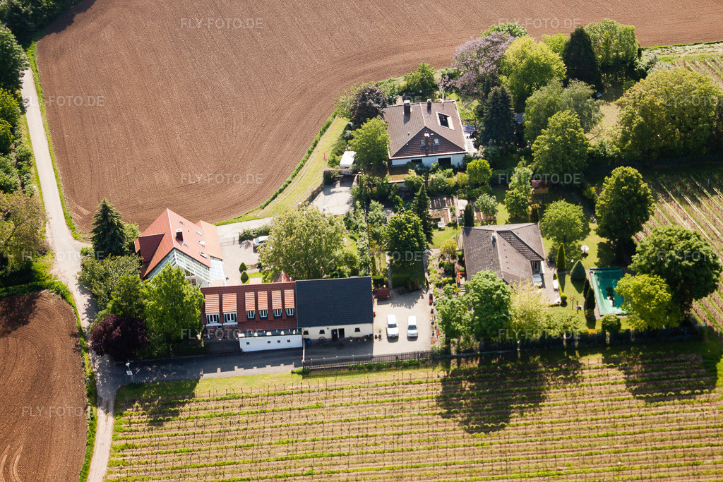 Luftbild: Pockensatz in Landau in der Pfalz im Bundesland Rheinland-Pfalz in Deutschland. Foto: IMG_27290.jpg vom 23.05.2010 durch Werner Riehm/FLY-FOTO.de
