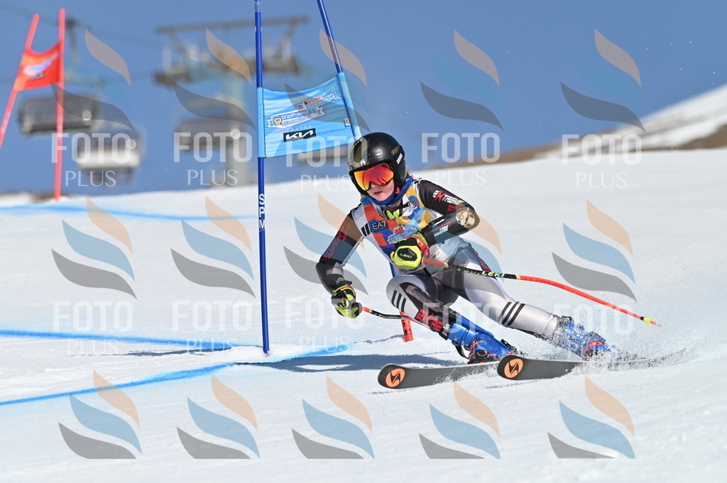 BGV_8394 | holidayphoto