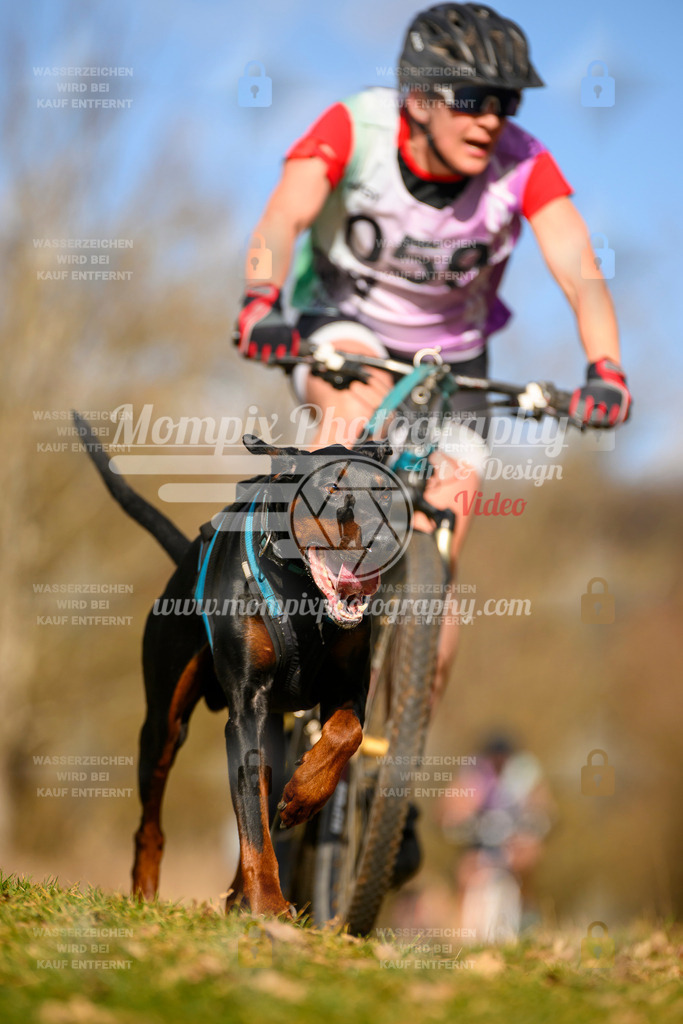 MompixPhotography_10Schwabentrail2026_SO_Bike-61 | PayLife