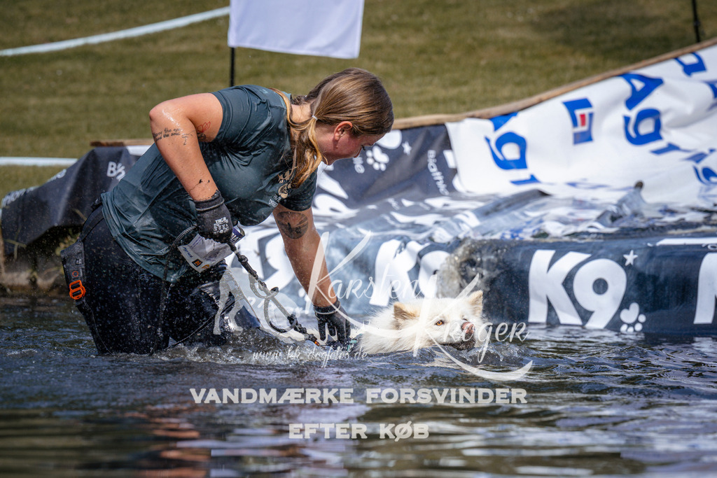 _ZZ905110900 | kk-dogfotos