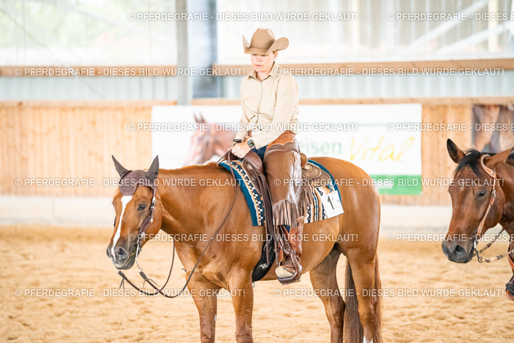 DSC01096 | Pferdegrafie