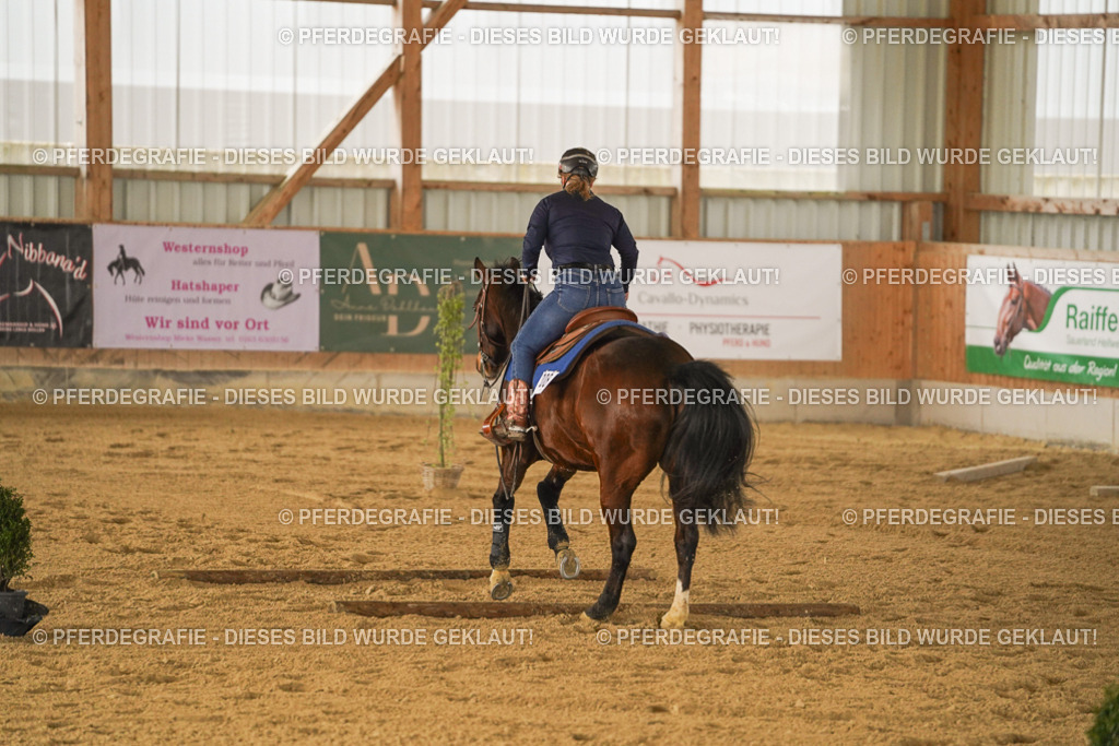 DSC04357 | Pferdegrafie