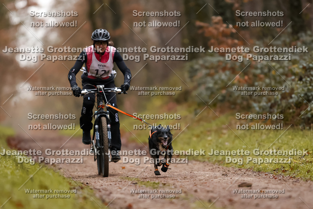 Dog Paparazzi - Speedhunter Mannheim  2025-35 | Dog Paparazzi Jeanette Grottendiek Fotografie & Videografie