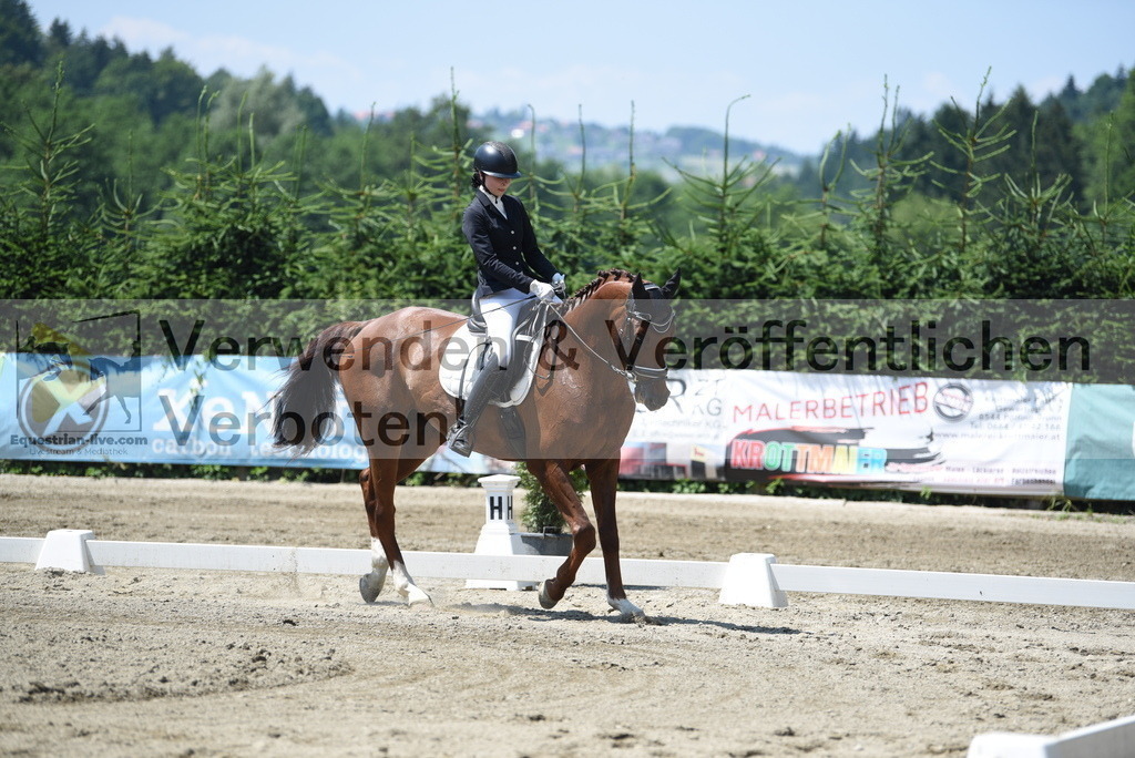 DSC_0914 | equestrian-live-com