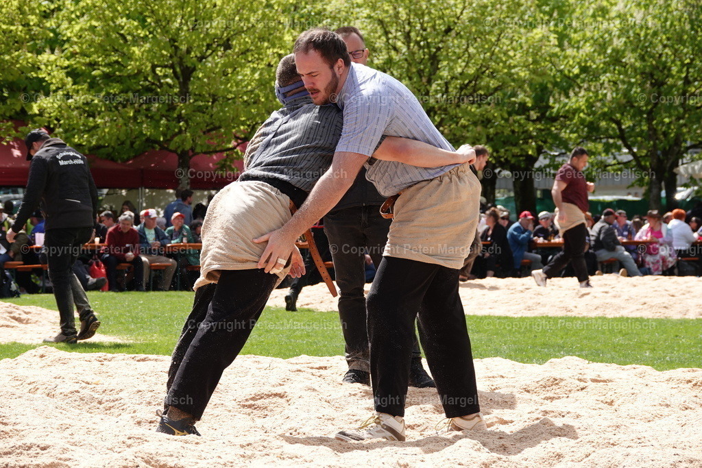 DSC00551 | Schwingen - Realisiert mit Pictrs.com