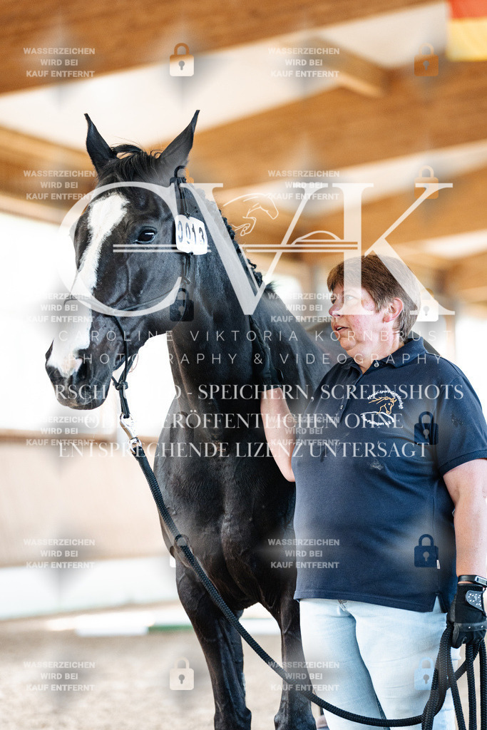CK906276 | Turnierfotografie Pferdefotografie Trier Rheinland-Pfalz Pferdesport Reitsport Tierfotografie Sportfotografie Pferdevideo Pferdevideografie Equestrianvideography equestrianphotography  - Realisiert mit Pictrs.com