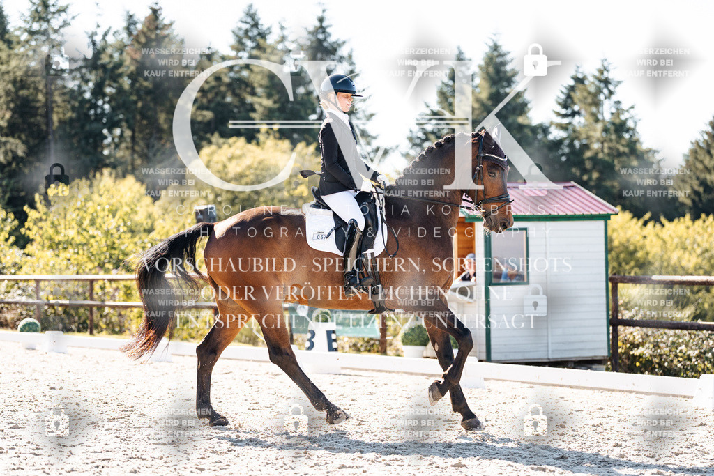 CK905728 | Turnierfotografie Pferdefotografie Trier Rheinland-Pfalz Pferdesport Reitsport Tierfotografie Sportfotografie Pferdevideo Pferdevideografie Equestrianvideography equestrianphotography  - Realisiert mit Pictrs.com