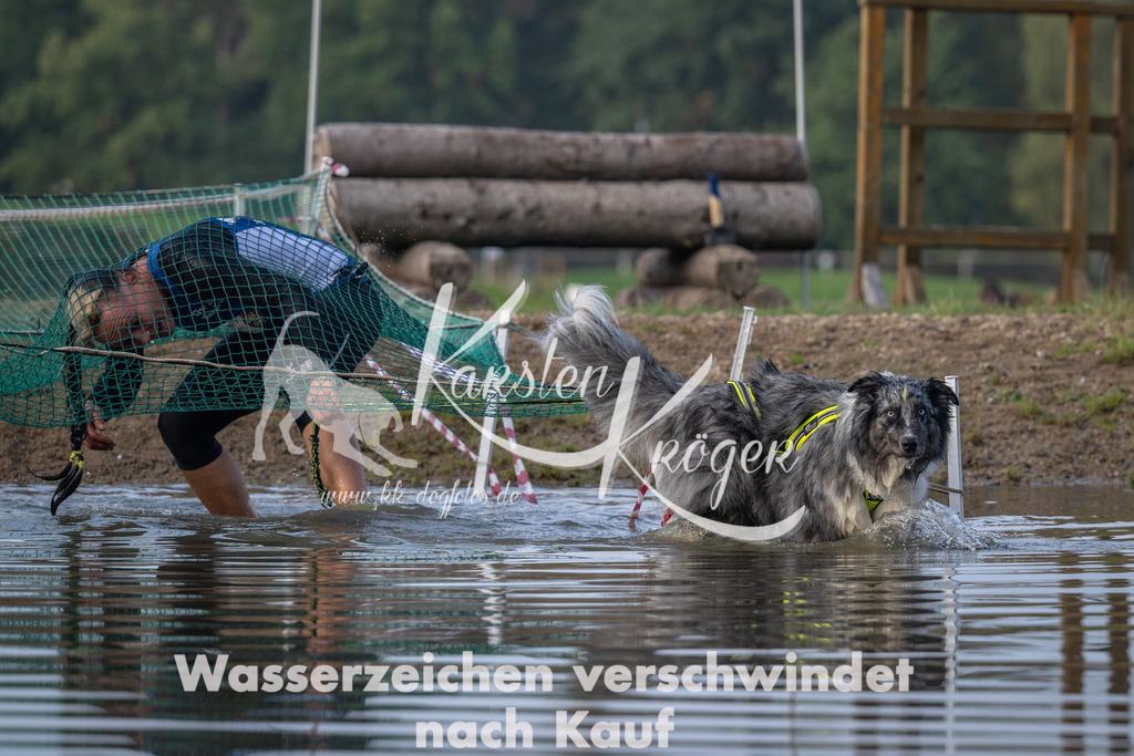 0953_ZZ91206 | kk-dogfotos