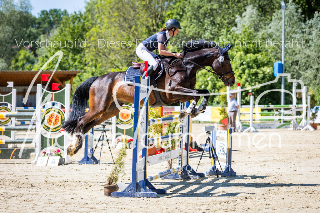 Donop24-M-Spr-037 | MomenTaufnahmen Pferdesportfotos