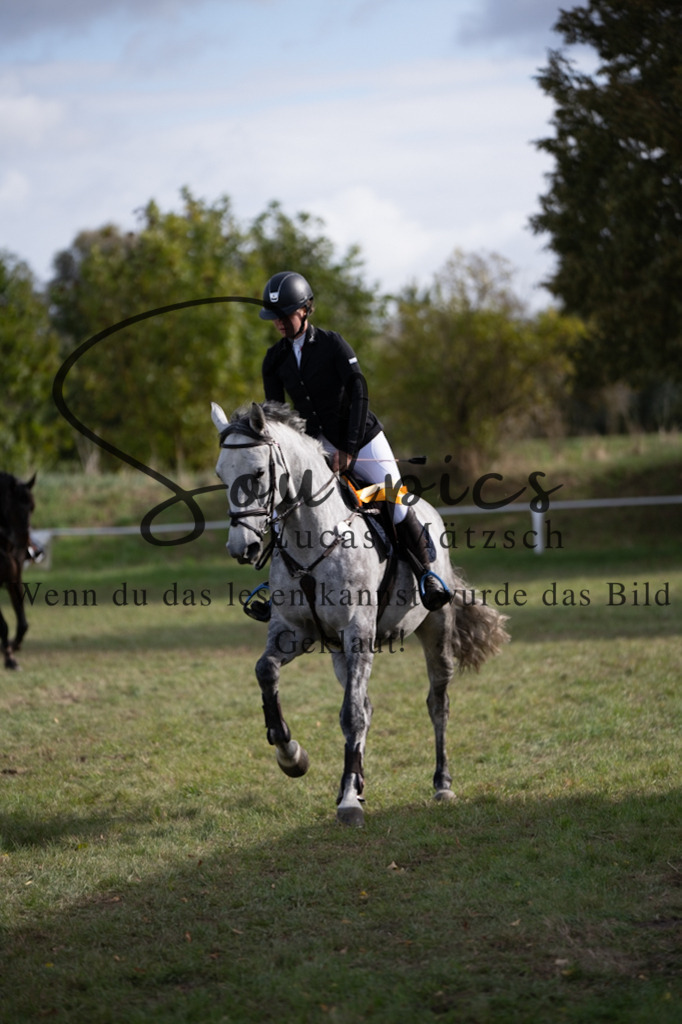 A7V06684 | Pferdefotograf