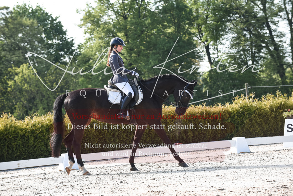 20230518_JK-Röhrsdorf-09-0775 | Pferde- und Turnierfotografie in Westsachsen. Pferdeportraits, Auftragszeichnungen und intuitive Kunst.