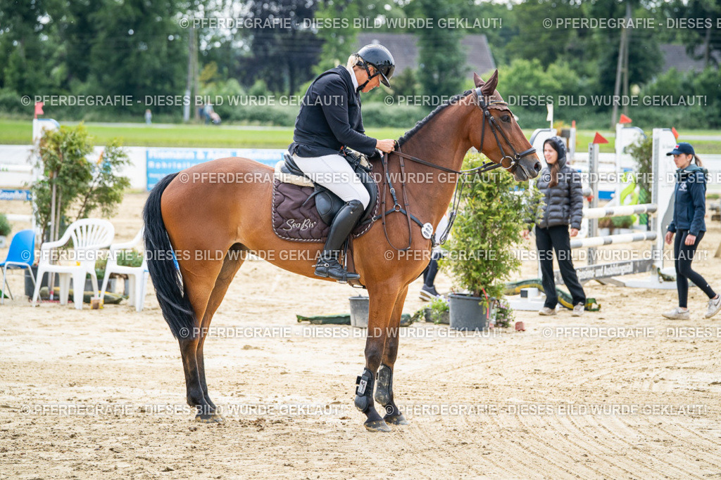 DSC05628 | Pferdegrafie