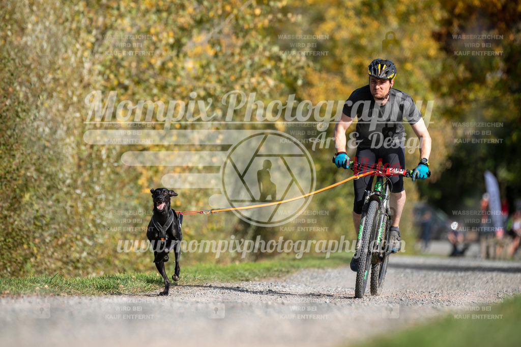TSB_2023_E2_Bike-4 | PayLife