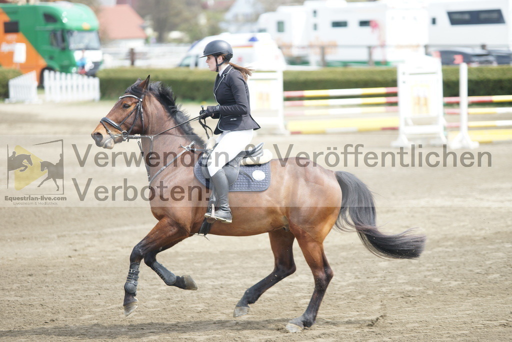 DSC04343 | equestrian-live-com