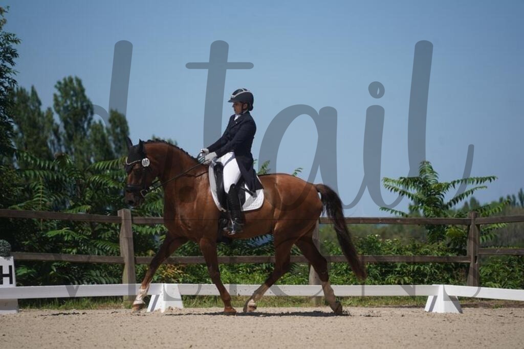 tgbhsonntag (1044) | d.tail Visions - Shop - Realisiert mit Pictrs.com