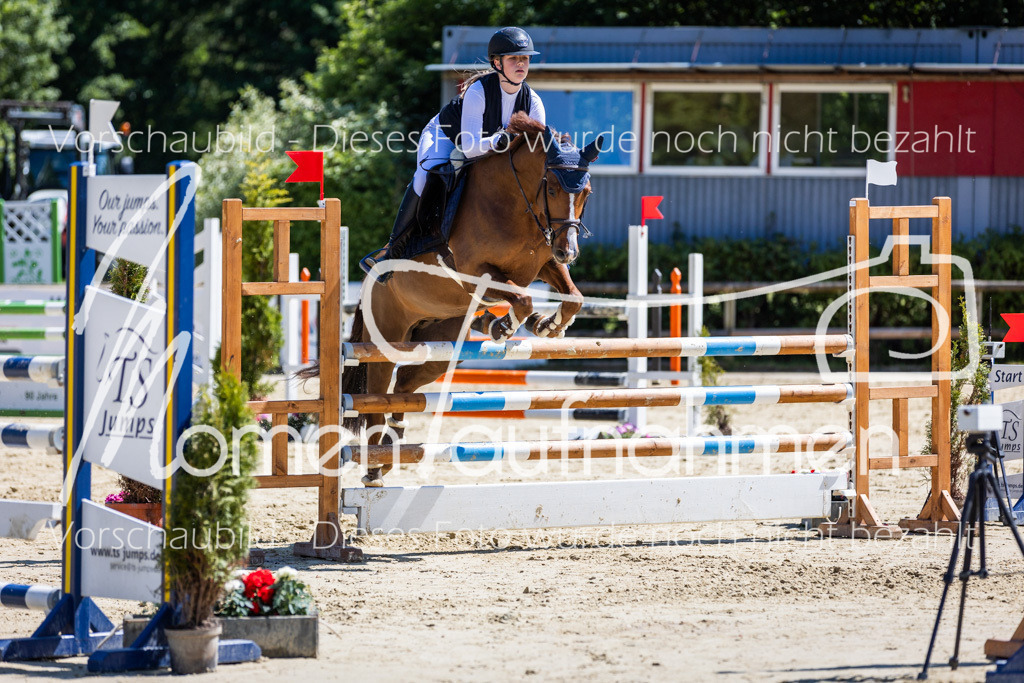 Donop24-Stil-L-082 | MomenTaufnahmen Pferdesportfotos