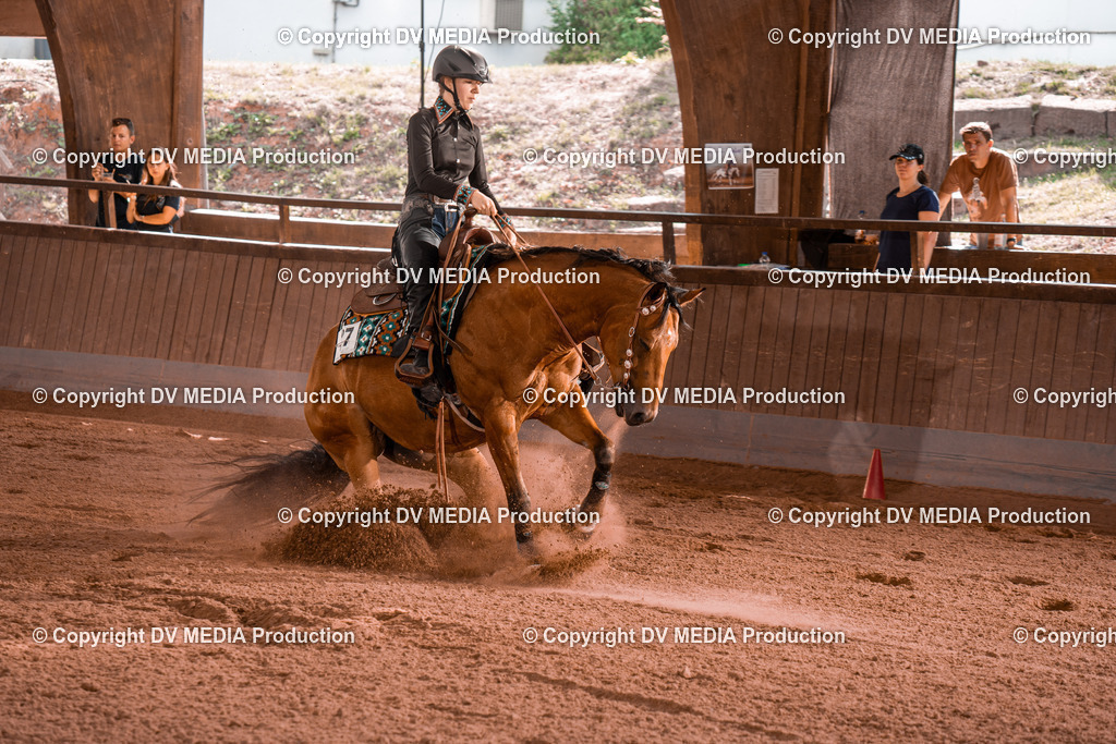 NE201165 | dv-media-shop - Realisiert mit Pictrs.com