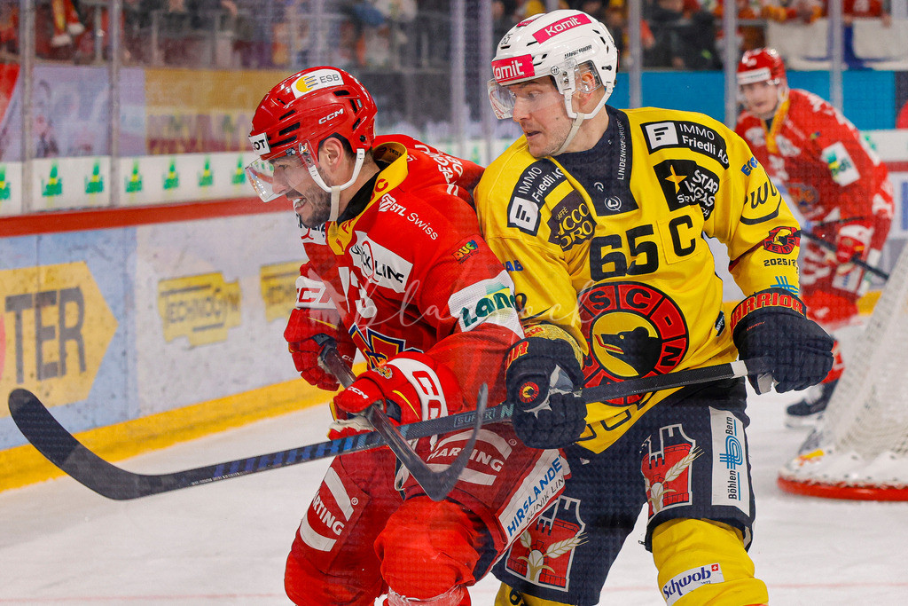 EHCB vs SCB 20260110_wb-3720 | Sportbilder, Sportfotograf, Hochzeits- und Eventfotografin, Flugshows, Portraits und Tiershooting, Aviation, Downhill, Nationalleague, Swissleague, International