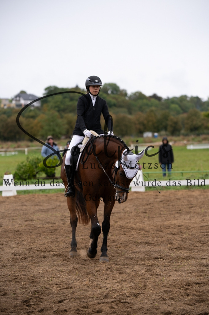 A7V05878 | Pferdefotograf