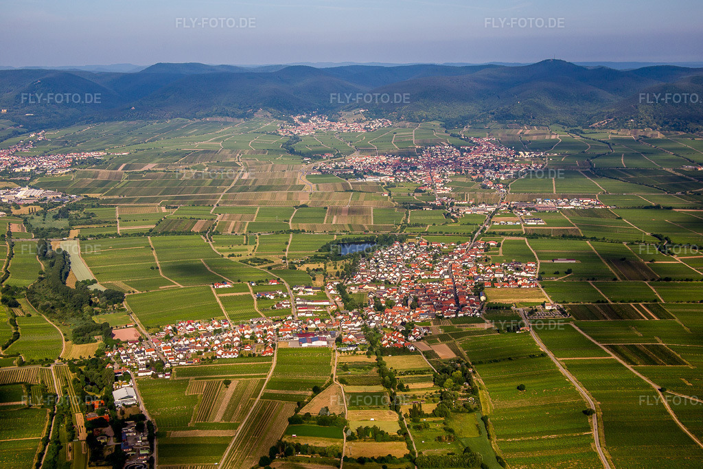Luftbild: (Pfalz) in Kirrweiler im Bundesland Rheinland-Pfalz in Deutschland. Foto: IMG_080943.jpg vom 14.06.2015 durch Werner Riehm/FLY-FOTO.de