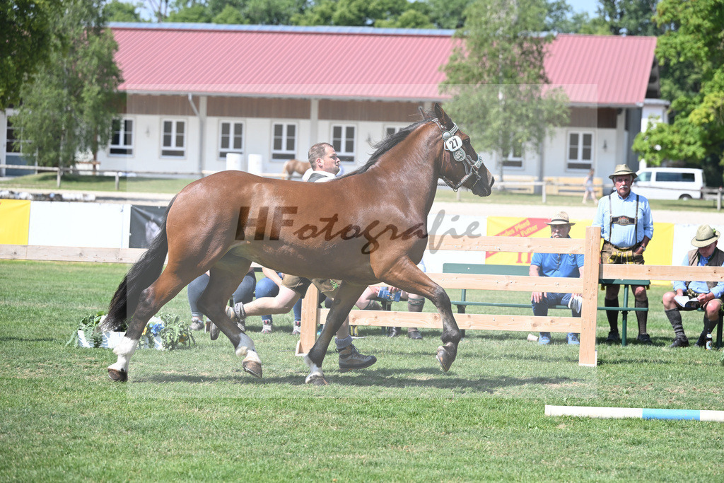 Kat-Nr. 27 Gerda_Funk_20230431 | hf-fotografie - Realisiert mit Pictrs.com