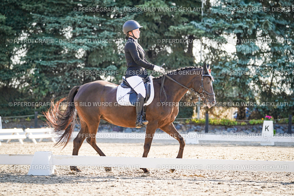 DSC08872 | Pferdegrafie