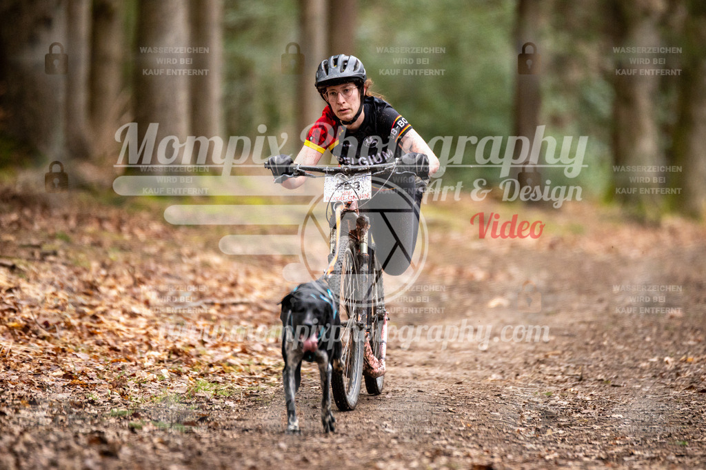 SPA_2023_DIM_Scooter-9 | PayLife