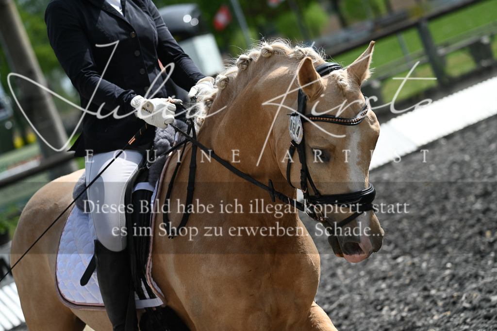 20230512_JK-Röhrsdorf-01-029 | Pferde- und Turnierfotografie in Westsachsen. Pferdeportraits, Auftragszeichnungen und intuitive Kunst.