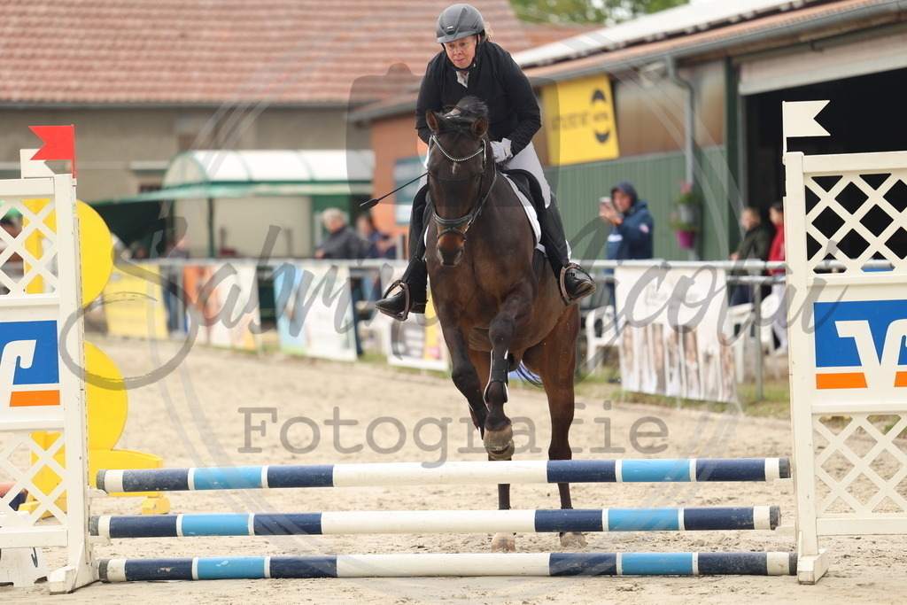 994A8460 | sabrinanicolaifotografie - Realisiert mit Pictrs.com