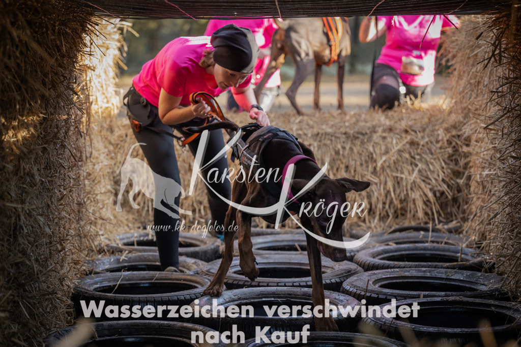 0954_ZZ95310 | kk-dogfotos