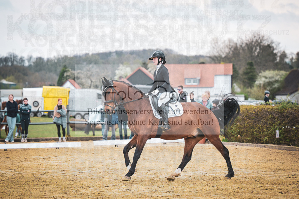 DOS_7541 | Entdecke hochwertige Reitturnierfotos von Foto Oger. Professionell, emotional und authentisch – jetzt Lieblingsmomente im Shop bestellen. - Realisiert mit Pictrs.com