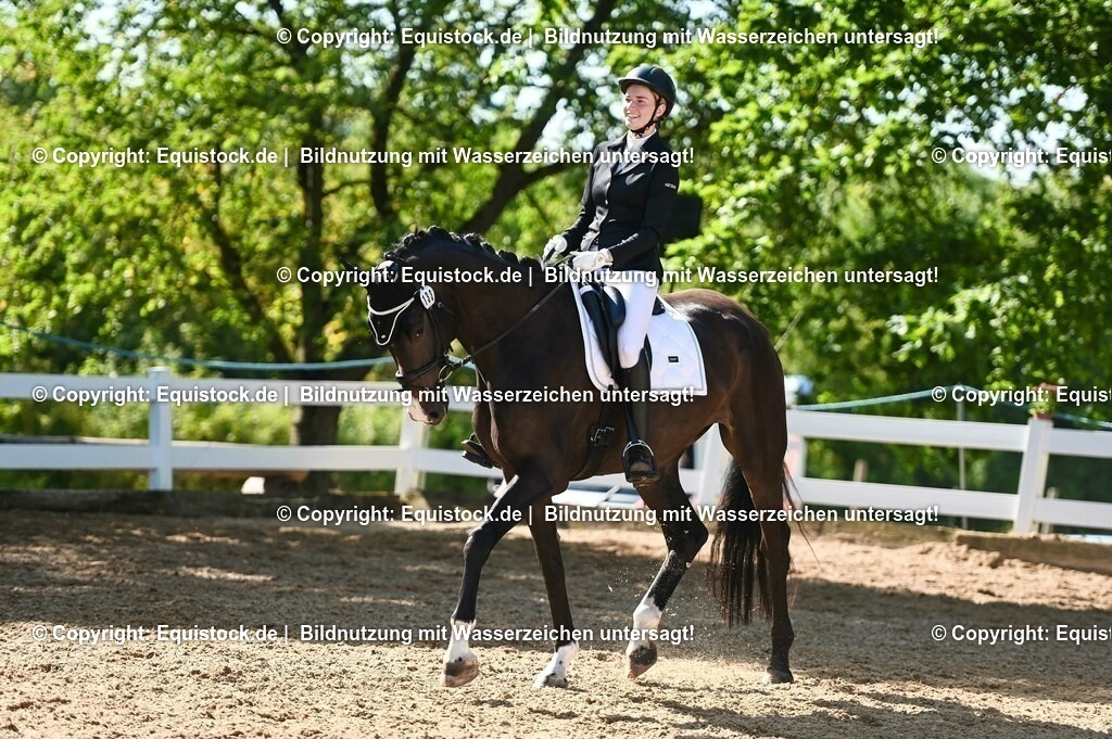 20230715_06_Dressurpferdeprfg. Kl.A_0357 | equistock
