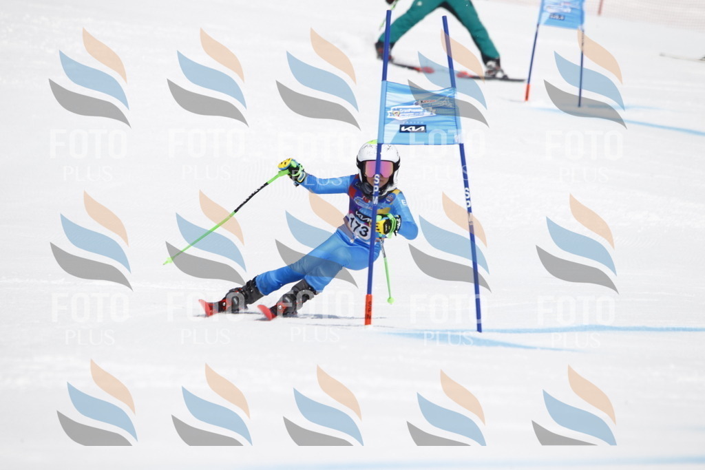 _U3G4558 | holidayphoto