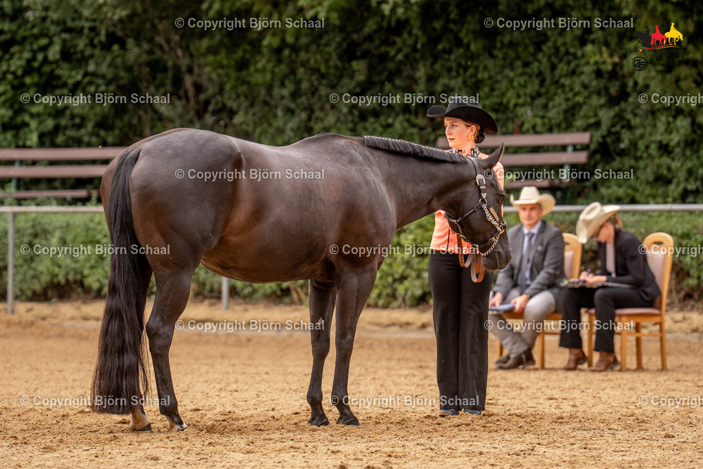 LMS06830 | BS-foto