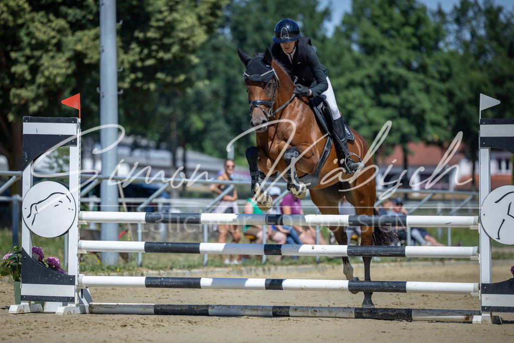20260704-_3LI7850 | Tierfotografie Pferde, Hunde, Katzen, Haustiere.
Turnierfotografie Reitturniere, Reiten, Springreiten, Dressur in Hanau, dem Main-Kinzig-Kreis und dem Rhein-Main- Gebiet um Frankfurt