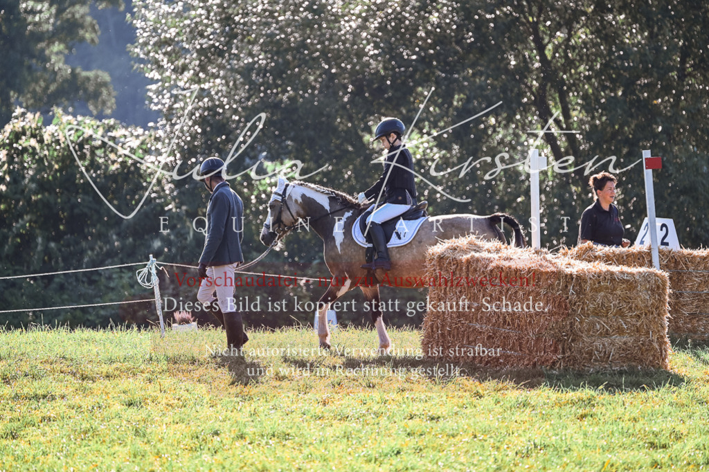 DSC_0320 | Pferde- und Turnierfotografie in Westsachsen. Pferdeportraits, Auftragszeichnungen und intuitive Kunst.