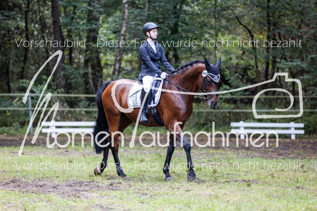 HB-Dressur-WB-097 | MomenTaufnahmen Pferdesportfotos