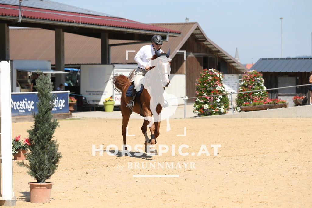 DL2Q3190 | Willkommen bei Brunnmayr - Design & Fotografie – Ihrem Spezialisten für Reitturniere und Pferdeveranstaltungen in Oberösterreich, Salzburg und Bayern! Seit über 17 Jahren sind wir leidenschaftlich dabei.