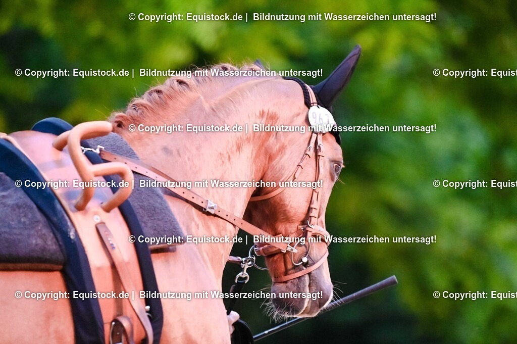 20250607_Volti-NASPA_Flutlicht_0080 | Foto: Thomas Hartig