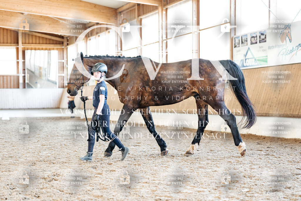 CK906467 | Turnierfotografie Pferdefotografie Trier Rheinland-Pfalz Pferdesport Reitsport Tierfotografie Sportfotografie Pferdevideo Pferdevideografie Equestrianvideography equestrianphotography  - Realisiert mit Pictrs.com