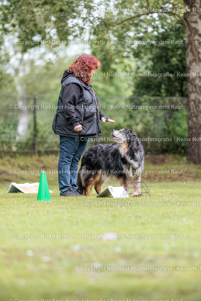 RO-Blumenthal-2026-Nickbest-Hundefotografie-1824 | Dein Hund! Dein Moment! Deine Erinnerungen! Hundefotografie in Bremen Blumenthal. Ich fange die besonderen Momente deines Vierbeiners ein – ob Indoor mit Blitzanlage oder in der freien Natur. Sicher dir dein Moment und dein Termin für eure Erinnerungen.