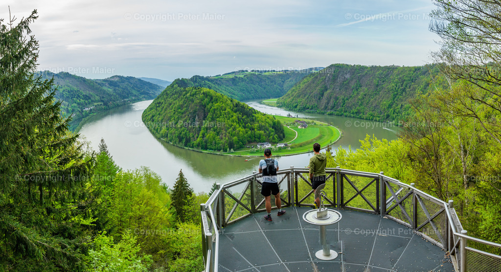 Donauregion-153 | piet_flosse