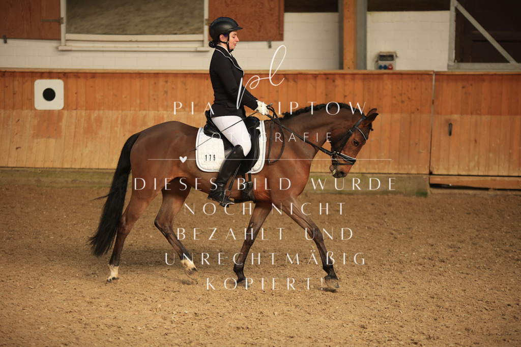 IMGT4731 | pl-fotografie