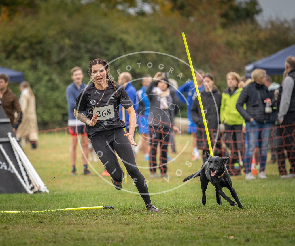 Pfotenfotografie_DV3A9955 | Hundefotografie, Tierfotograf, Pfotenfotografie, Fotoshooting Hund, Hunde Portrait, Hundesport, Hundeportraits, Heideshooting, Hunde, Sportfotograf, Hundefotograf, Turnierhundsport, THS,  - Realisiert mit Pictrs.com