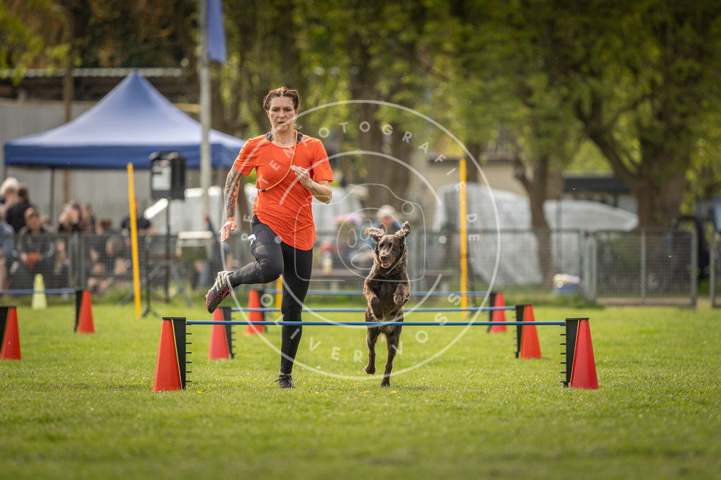 Pfotenfotografie_DV3A6157 | Hundefotografie, Tierfotograf, Pfotenfotografie, Fotoshooting Hund, Hunde Portrait, Hundesport, Hundeportraits, Heideshooting, Hunde, Sportfotograf, Hundefotograf, Turnierhundsport, THS,  - Realisiert mit Pictrs.com