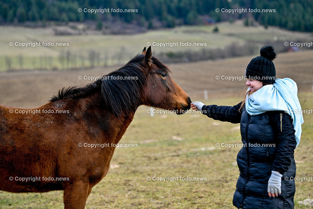 Pferde_ 29.12.2024-49 | 29.12.2024, Rajec, SVK, Themenbild, Pferde, im Bild Maedchen mit Pferd, Pferd, Pferde, Stute, Hengst, Fohlen, Quarter Horse, Ranch, Weide, Hof, Wiese, Stall, Nutztier, Tier