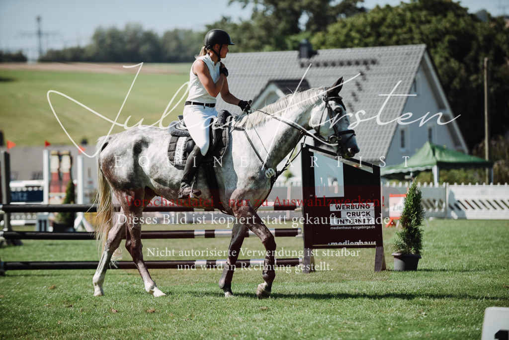 DSC_3249 | Pferde- und Turnierfotografie in Westsachsen. Pferdeportraits, Auftragszeichnungen und intuitive Kunst.