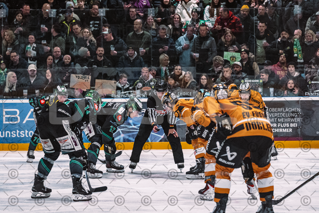 Alligators_vs_Fuessen_06_03_2026_PP-7 | Höchstadt Alligators Fotogalerie: Eishockey-Action aus Franken. Professionelle Spielfotos, Portraits & Stadionbilder zum Download. Jetzt entdecken! - Realized with Pictrs.com