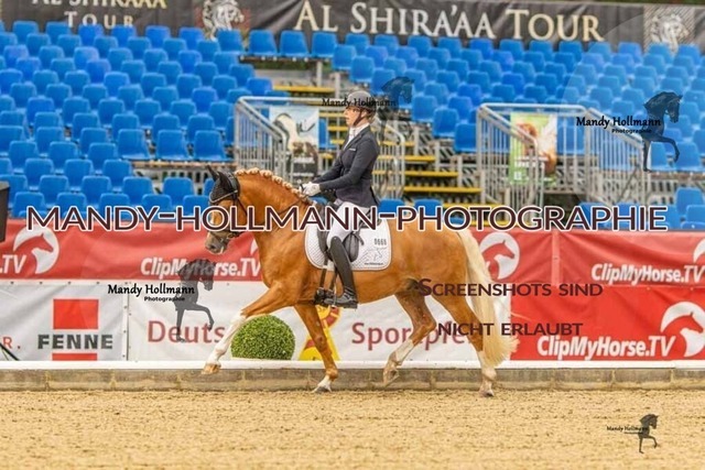 28-8-26 5j DRE-152 | mandyhollmannphotographie
